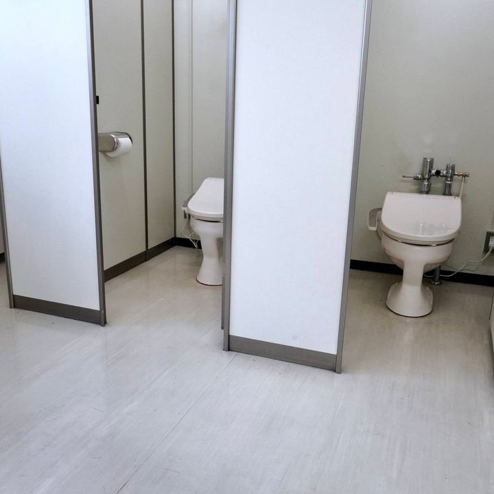 個室がふたつ並んでいる会社のトイレ