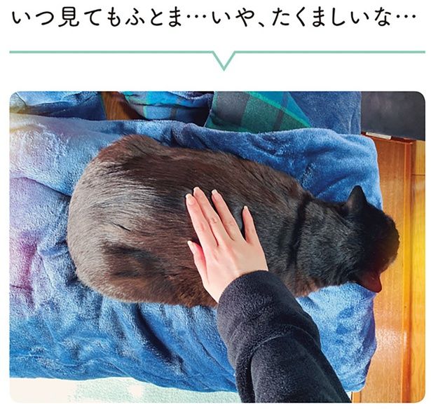 いつ見てもふとま…いや、たくましいな… （C）AKR／KADOKAWA