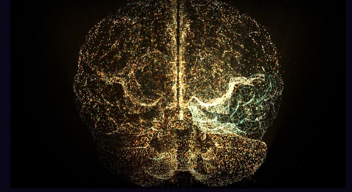 魚のタンパク質で「マウスに脳編集」を行うと「社交的で活発」になると判明