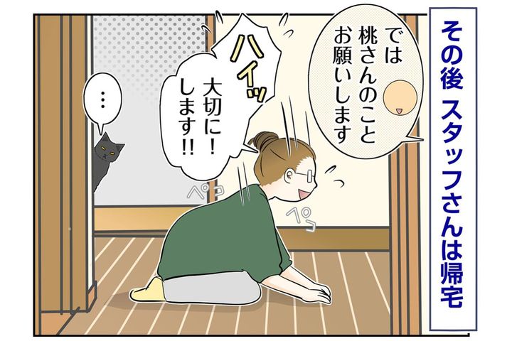 【マンガ・老猫日誌＃83】桃さんと2人？桃姐の意外な反応は？〜思い出の老猫日誌・桃姐と小論