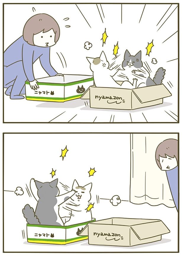 もう一箱用意しても （C）卵山玉子／KADOKAWA