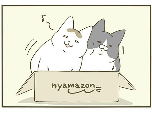 ひとつの箱に入る猫たち （C）卵山玉子／KADOKAWA