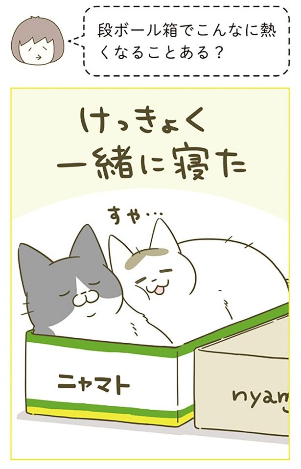 段ボール箱でこんなに熱くなることある？ （C）卵山玉子／KADOKAWA