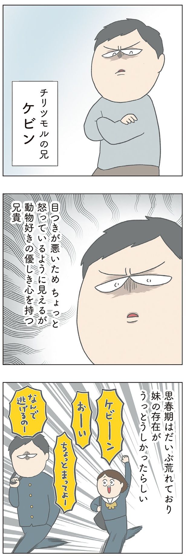 なんで逃げるのー （C）チリツモル／KADOKAWA