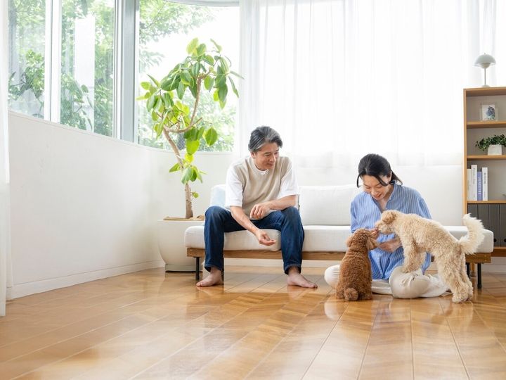 30代半ばで夫と死別した61歳女性。必死で働き、紆余曲折を経て子どもたちを社会に送り出した。その後、56歳のときに知り合った年下の男性と“半同棲”生活を始めることに。女性が望んだのは、「ふわりと軽やかに生きる」ことだった。※画像：PIXTA
