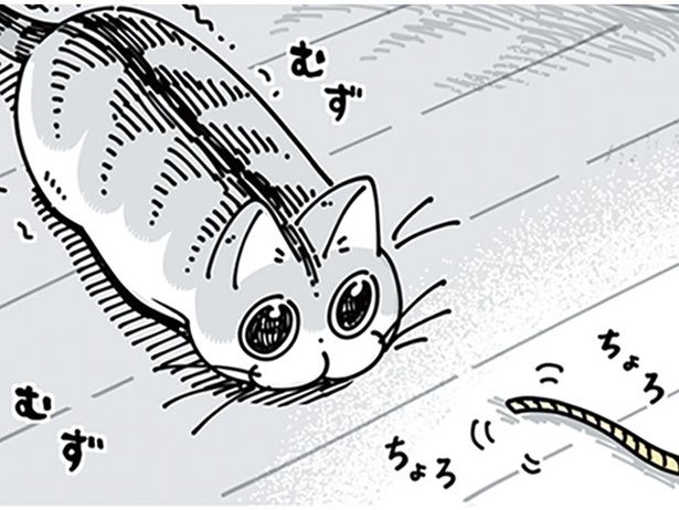紐が気になる （C）キュルZ／KADOKAWA