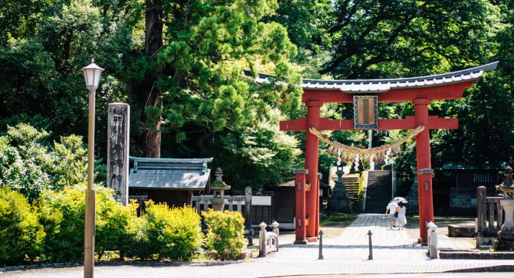新潟県加茂市・青海神社の参道入口を撮影した屋外写真。緑豊かな木立の中に朱塗りの鳥居と石灯籠が立ち、奥に拝殿への石段が続く昼間のショット