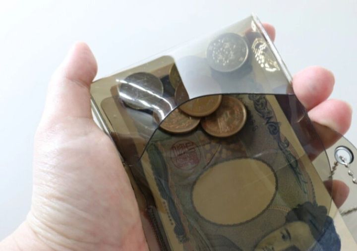 ダイソー PVCコインケース付3つ折財布 使用例
