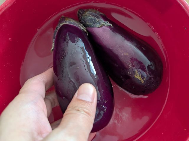 野菜
