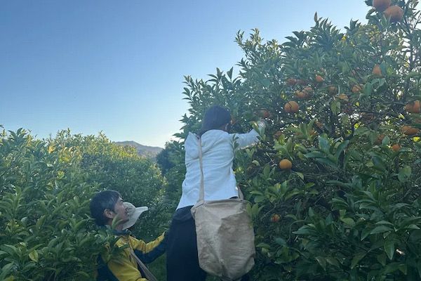 山口県萩市にナチュールバーガーレストランen_PELORIが誕生。土地の呼吸を封じ込めたコース仕立てのバーガーを提供