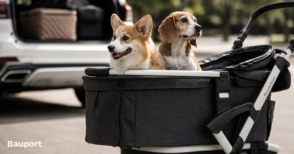 愛犬とのお出かけ用品セレクトショップ誕生！第1弾はピッコロカーネのカート5モデル
