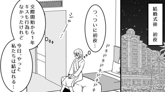 マチアプで出会ったアニメ好きイケメンと結婚…ハワイ挙式後の初夜、その気がない夫に拍子抜けした話