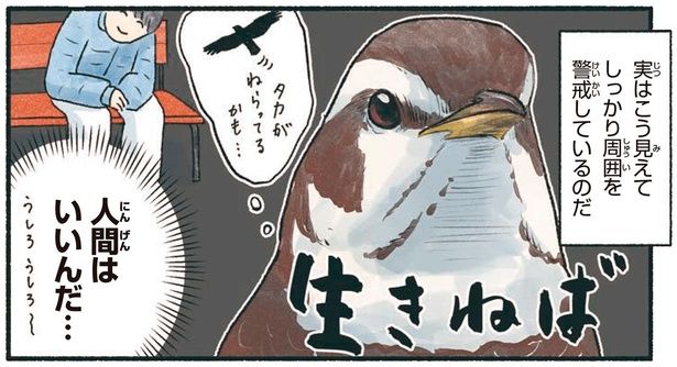 人間はいいんだ… （C）piro piro piccolo／KADOKAWA