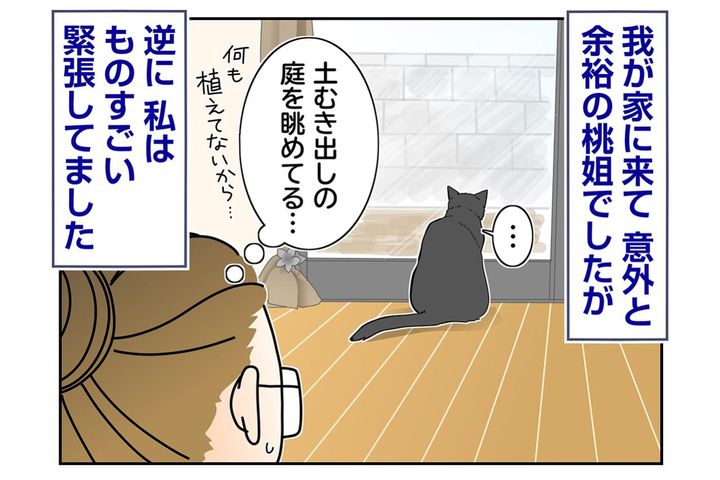 【マンガ・老猫日誌＃84】馴染む桃姐と緊張する私〜思い出の老猫日誌・桃姐と小論