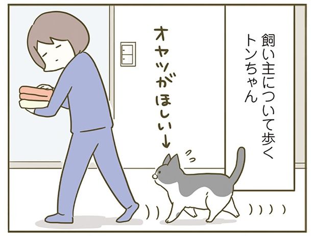 ついて歩くので… （C）卵山玉子／KADOKAWA