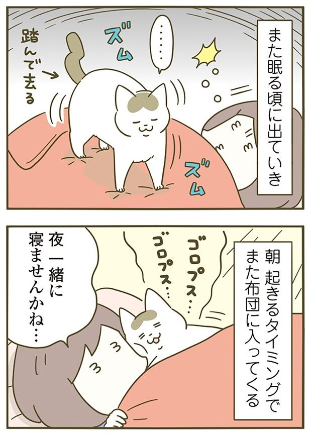 夜一緒に寝ませんかね… （C）卵山玉子／KADOKAWA