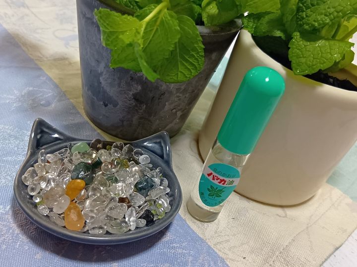 こちらは『ハッカ油』スプレー式のものです。ハッカ油は、ハッカ（和種ハッカ）から抽出された天然の精油です。