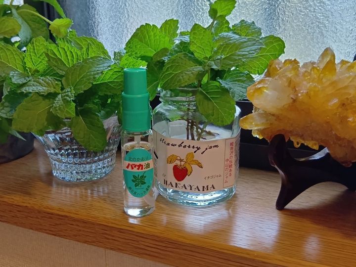 ハッカ油とスペアミント、梅雨時には特にお勧めですよ！