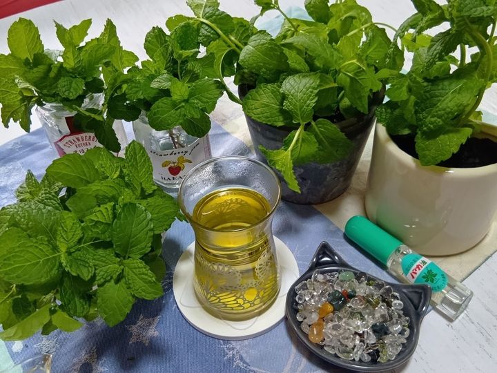 【梅雨のニオイ対策】我が家は常備！ハーブの力で一発解決！排水口もトイレも爽やかに！