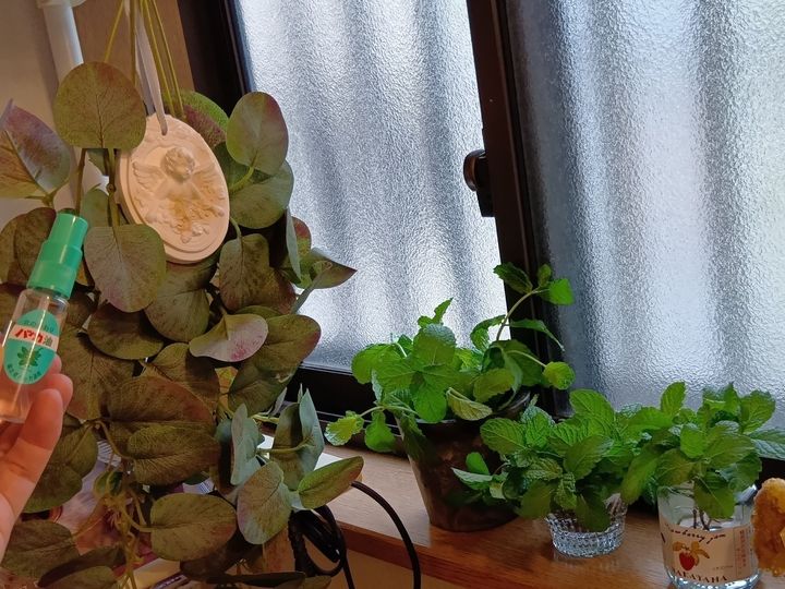 お部屋ごとに、その日の気分で精油の香りを変えることもありますが、ハッカの爽やかな香りは、じめじめとした梅雨の季節にぴったりです。