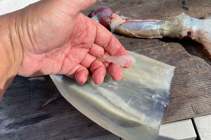 骨と残りの内臓を取り除く