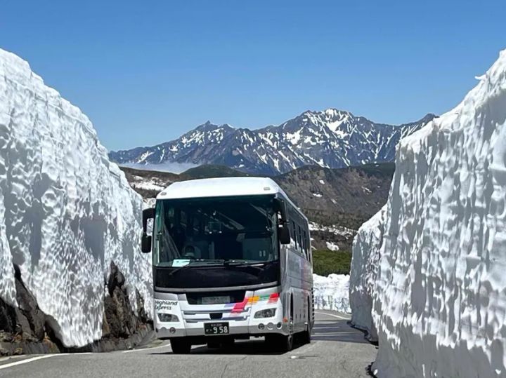 乗鞍岳春山バス（Highland Express）が高さ数メートルの雪壁が両側にそびえる道路を正面から走行している写真。背景に残雪の北アルプス山脈が広がる晴天カット