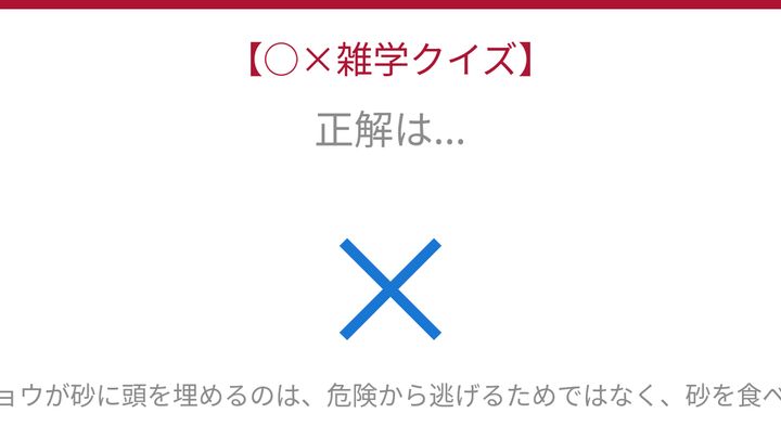 【○×雑学クイズ】これ本当？ダチョウの都市伝説を検証！の解答画像