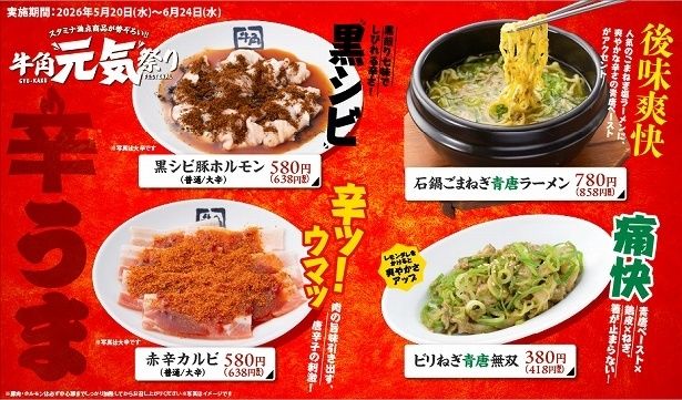 辛うまメニューは辛さをUPできるものも