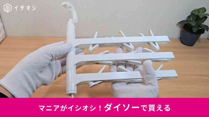 ダイソー┃自由に回転ピンチハンガー