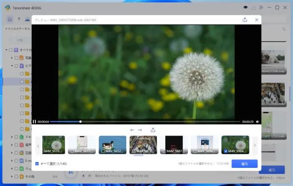 データスキャン中のプレビュー画面
