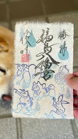 【福岡県八女市】福島八幡宮が、「梅雨限定『鳥獣戯画御朱印』」を頒布。境内の紫陽花とともに撮影