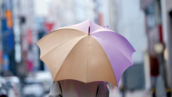 【東京都中央区・新宿区】革新的なフォルムの傘ブランド「ディチェザレ デザイン」都内3百貨店にてPOP UPを開催