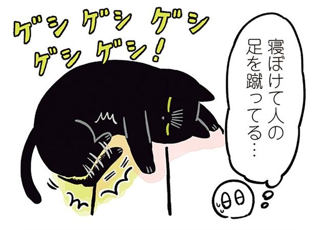 寝ぼけて人の足を蹴ってる… （C）AKR／KADOKAWA