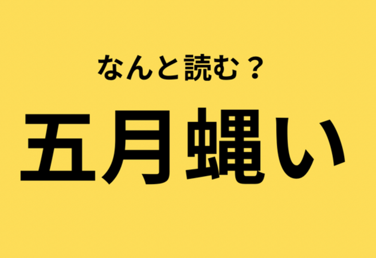 うるさい 漢字 一文字