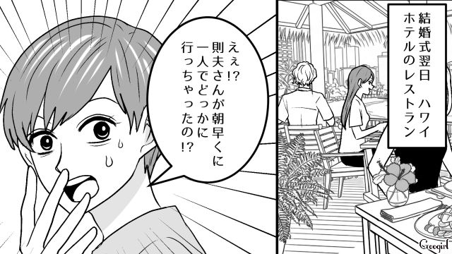 マチアプで出会ったアニメ好きイケメンと結婚するも…ハワイ挙式翌日は別行動、帰国後もアッサリした新婚生活に困惑した話 