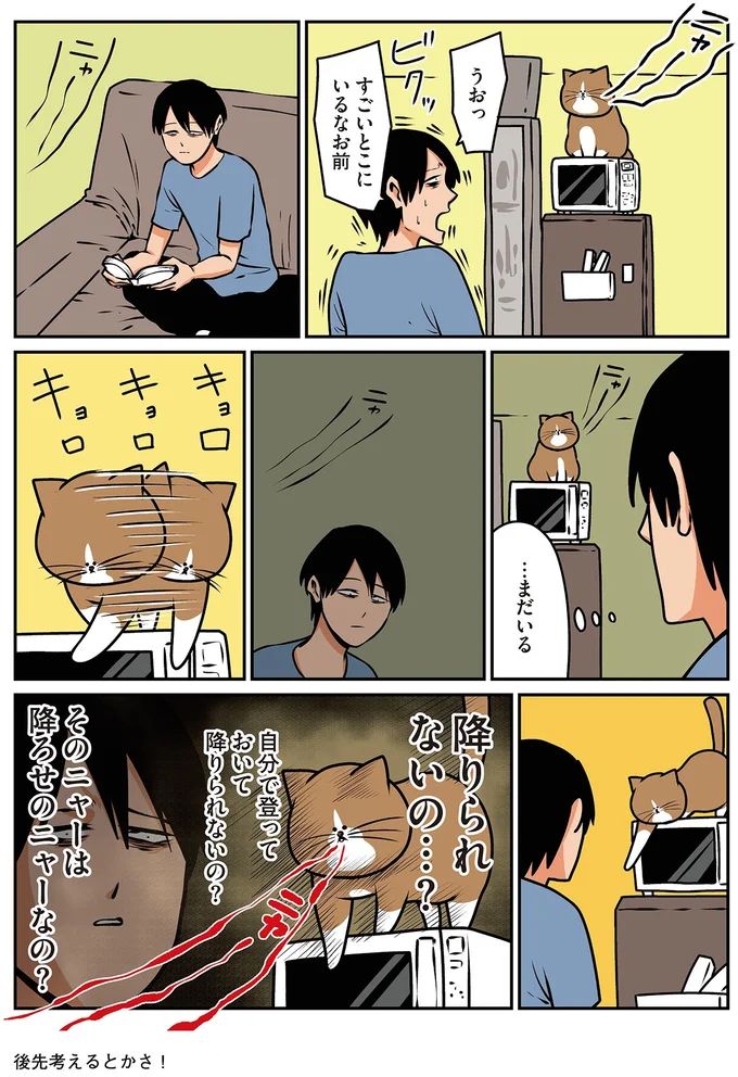 16211700.webp