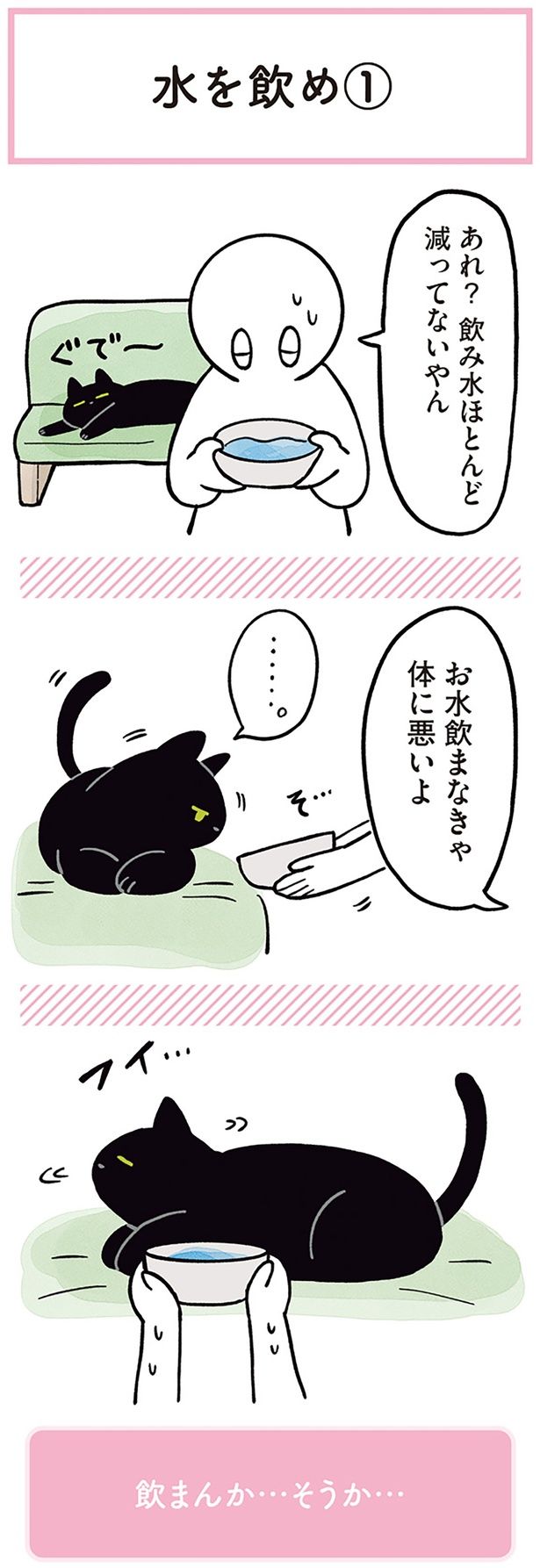お水飲まなきゃ体に悪いよ （C）AKR／KADOKAWA