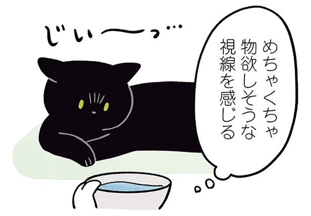めちゃくちゃ物欲しそうな視線を感じる （C）AKR／KADOKAWA