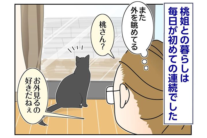 【マンガ・老猫日誌＃85】かわいい！お返事猫・桃姐〜思い出の老猫日誌・桃姐と小論