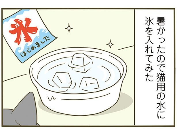 氷をいれてみた （C）卵山玉子／KADOKAWA