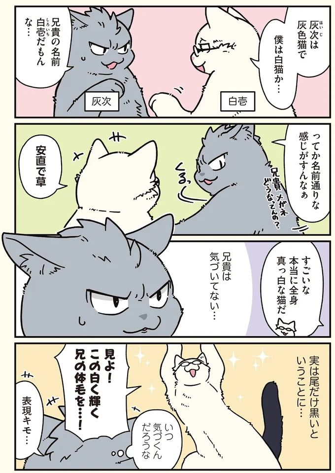 16258195.webp