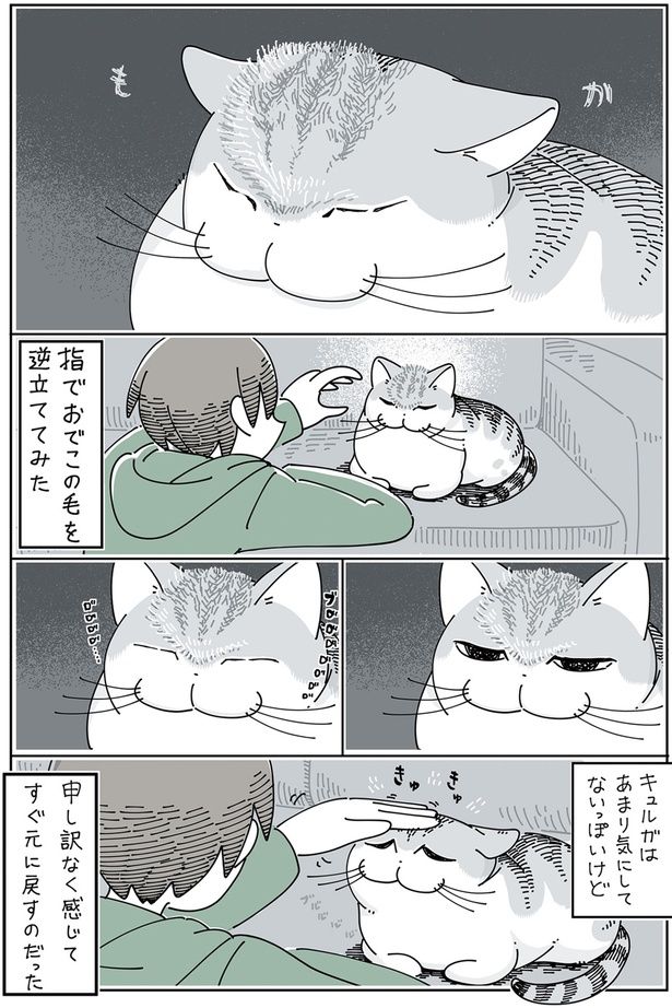 あまり気にしてないっぽいけど （C）キュルZ／KADOKAWA