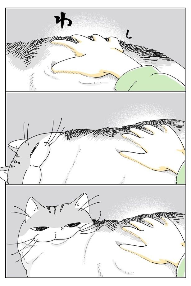 02 画像提供：キュルZ@kyuryuZ