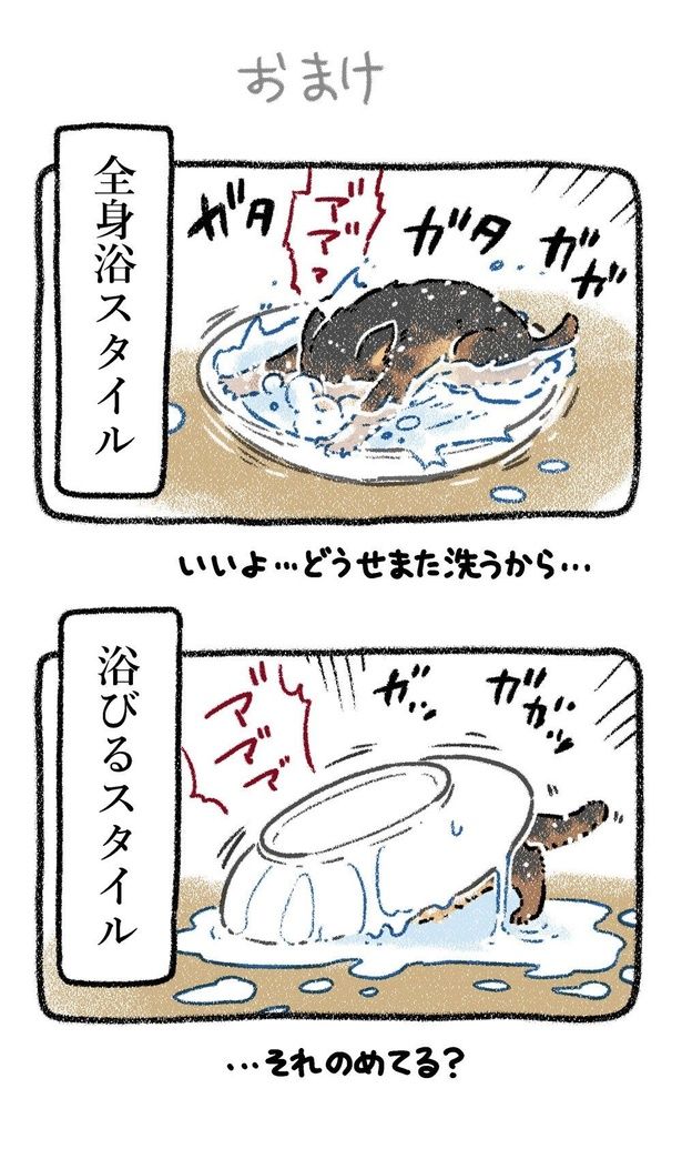 みぞれねこ③04 ※続きはSNSで公開中 画像提供：(C)ヨシモフ郎