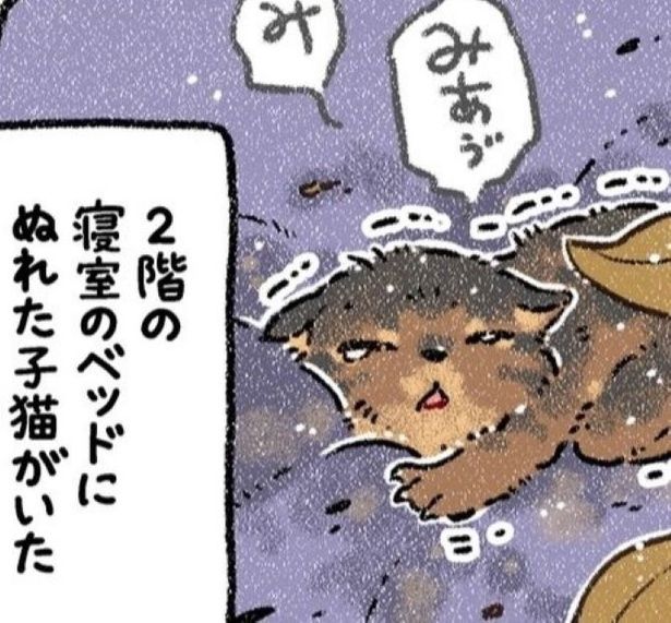 飼い犬が子ねこを拾ってきた…!? 画像提供：(C)ヨシモフ郎