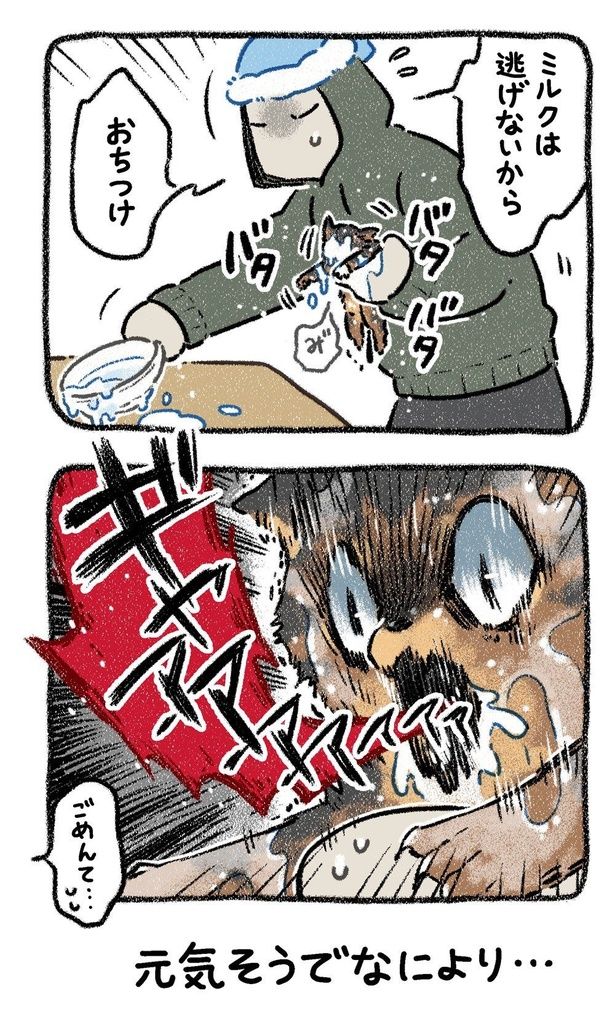 みぞれねこ③03 画像提供：(C)ヨシモフ郎