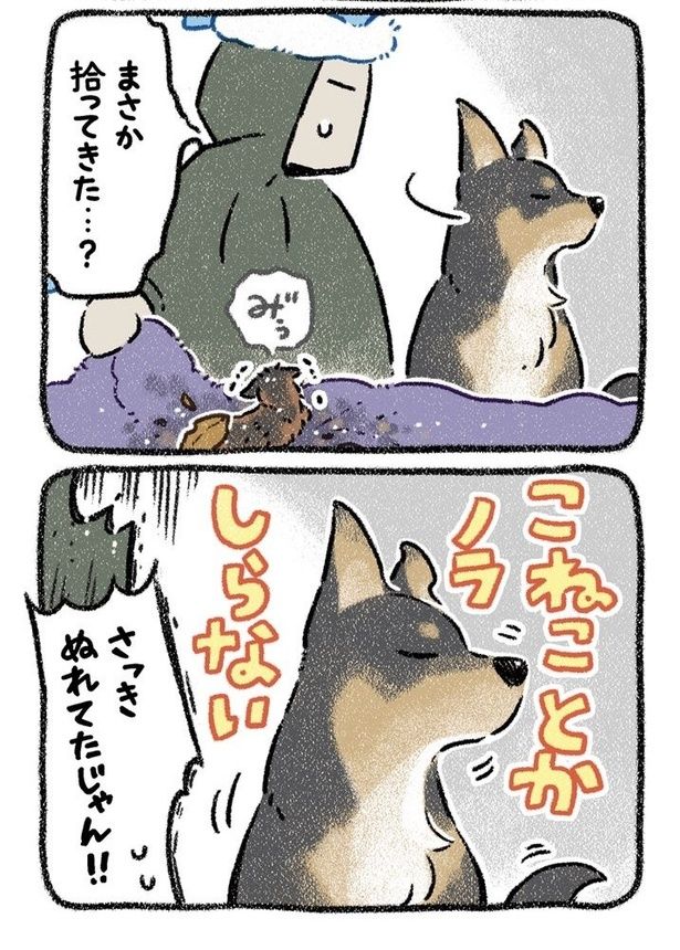 みぞれねこ②02 画像提供：(C)ヨシモフ郎