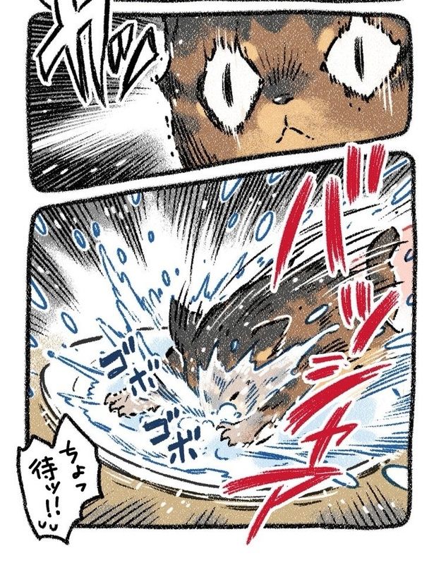 みぞれねこ③02 画像提供：(C)ヨシモフ郎