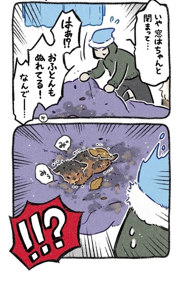 みぞれねこ①04 画像提供：(C)ヨシモフ郎
