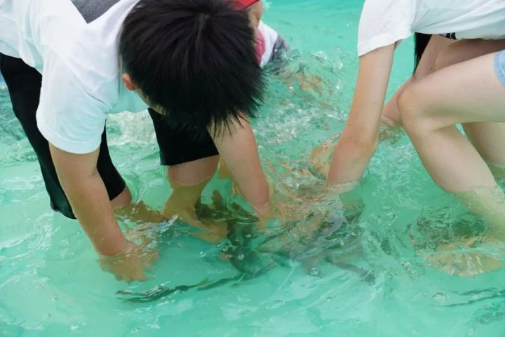 水の入ったプールや浅瀬で子どもたちが手を入れ鮎をつかみ取りする体験イベントの様子。参加者の上半身と水しぶきをアップで撮影